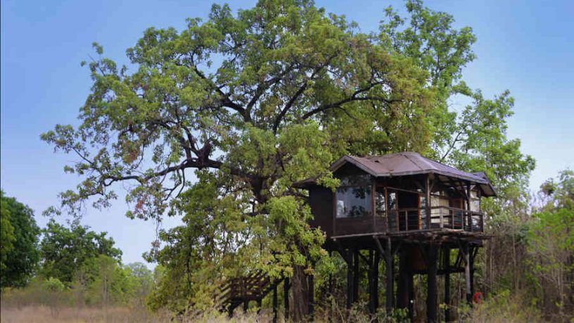 Tree house at the Luxury Treehouse At Pench