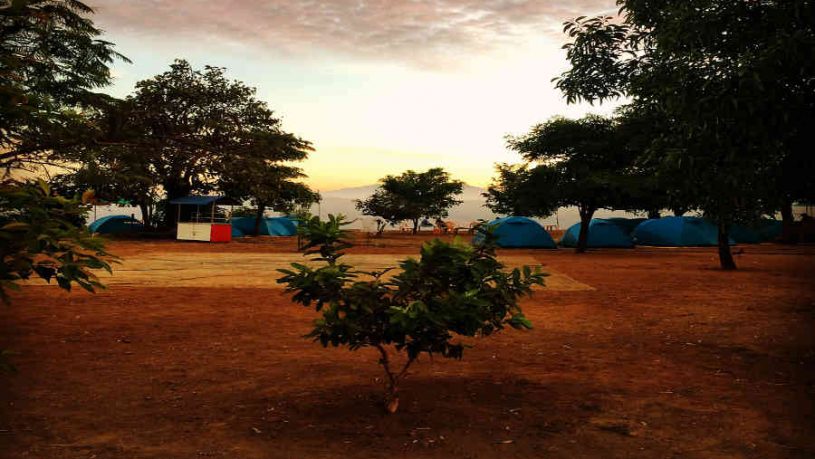 The beautiful Family Campsite Near Tikona Fort