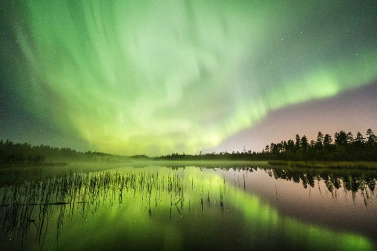 Green-Northern-lights-Rovaniemi-Autumn