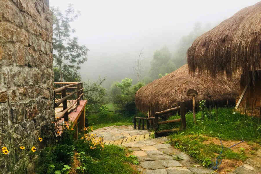 Misty mornings at the Eco-Friendly Resort At Kanthalloor