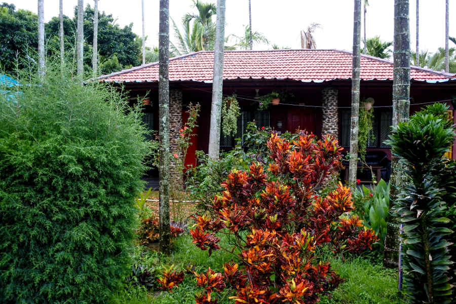 Cottage at the Offbeat Homestay In Chikkamagaluru