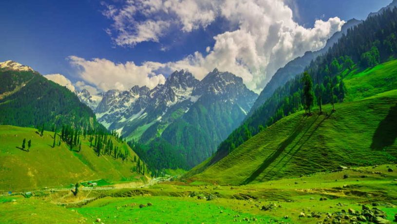 Sonamarg Valley View