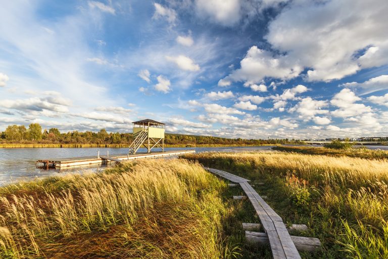 nature-trail-ladscape-rovaniemi-lapland-finland