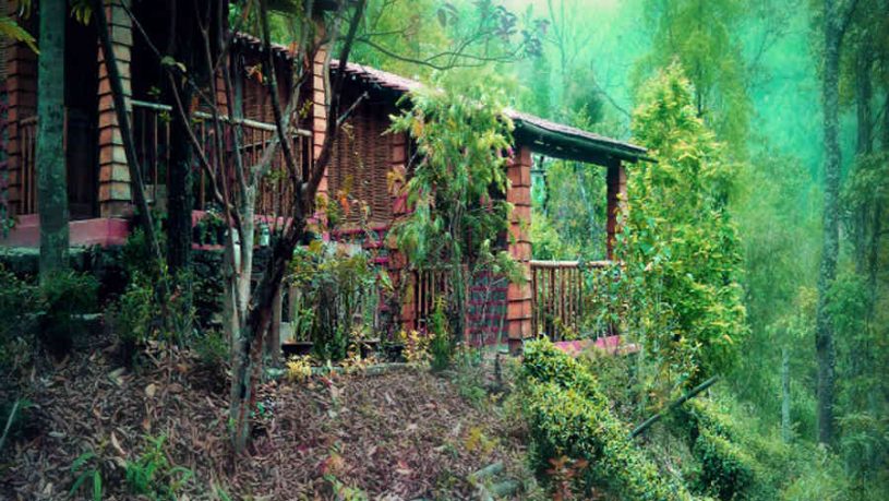 Cottages at the Idyllic Farmstay In Darjeeling