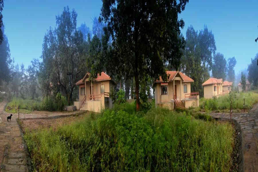 Cottages at the Jungle Retreat In Kanha