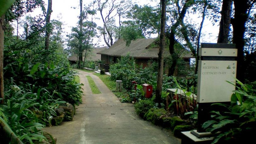 Luxury Plantation Stay In Coorg